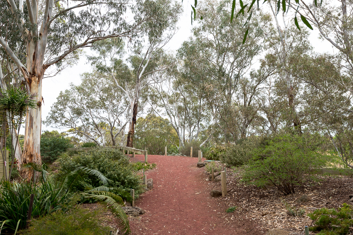 Kevin Hoffman Walk Villawood Properties